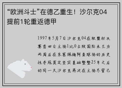 “欧洲斗士”在德乙重生！沙尔克04提前1轮重返德甲